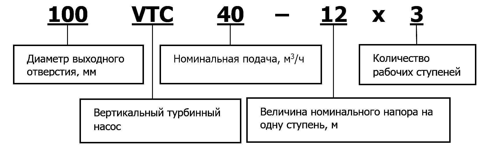 vtp